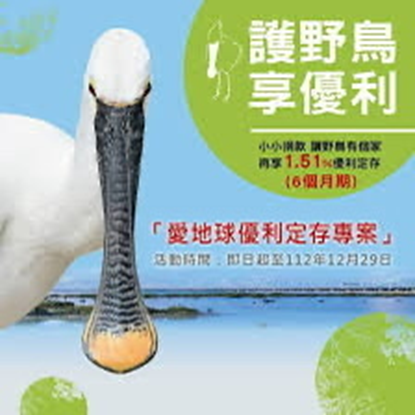 社會參與