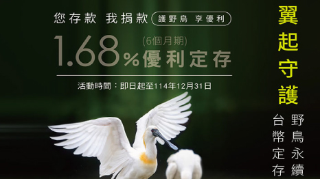 翼起守護-野鳥永續台幣定存專案
